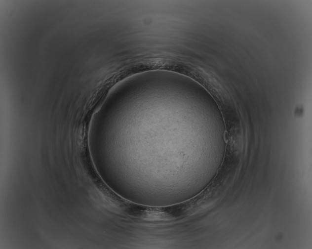 X0000096640605200802121112