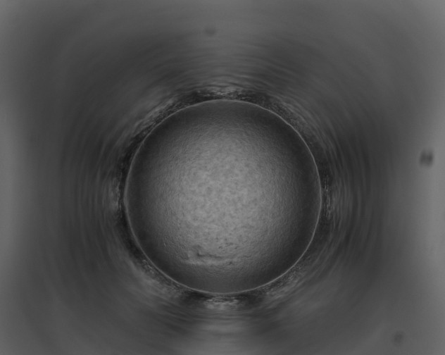 X0000096640606200802121112