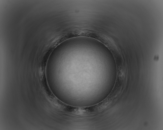 X0000096640607200802121112