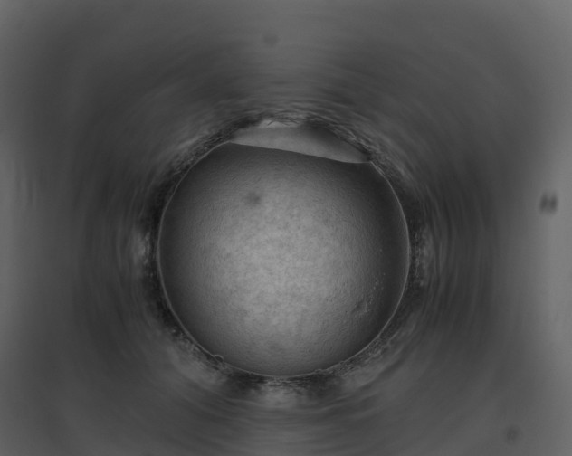 X0000096640608200802121111