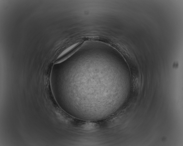 X0000096640609200802121111
