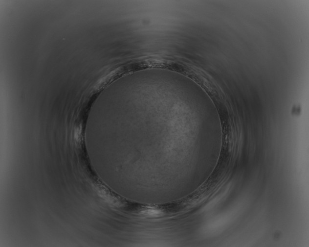 X0000096640610200802121111