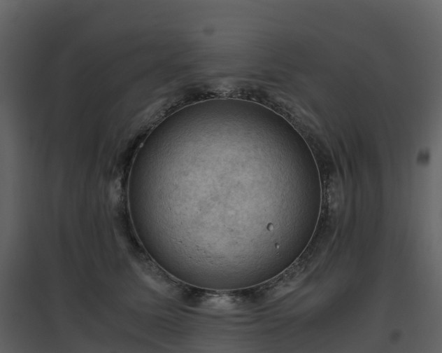 X0000096640611200802121111