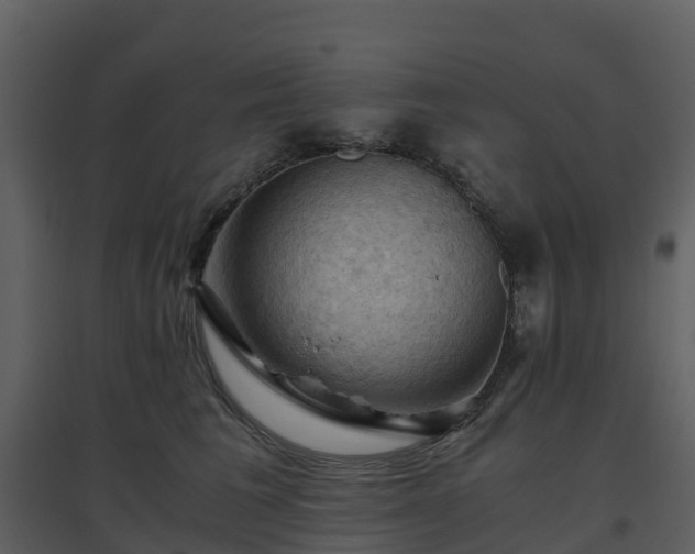 X0000096640613200802121111