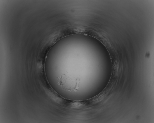 X0000096640614200802121111