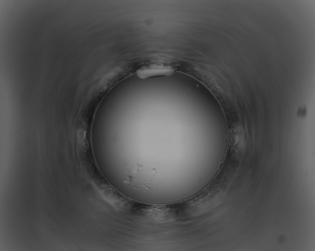 X0000096640615200802121111