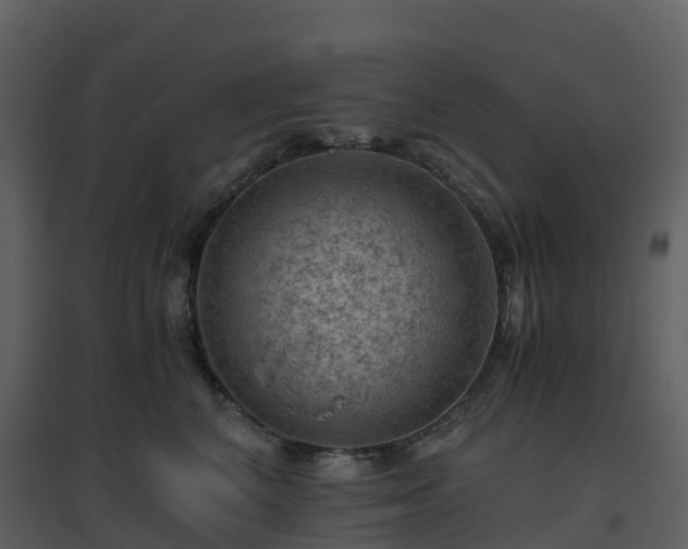 X0000096640616200802121111