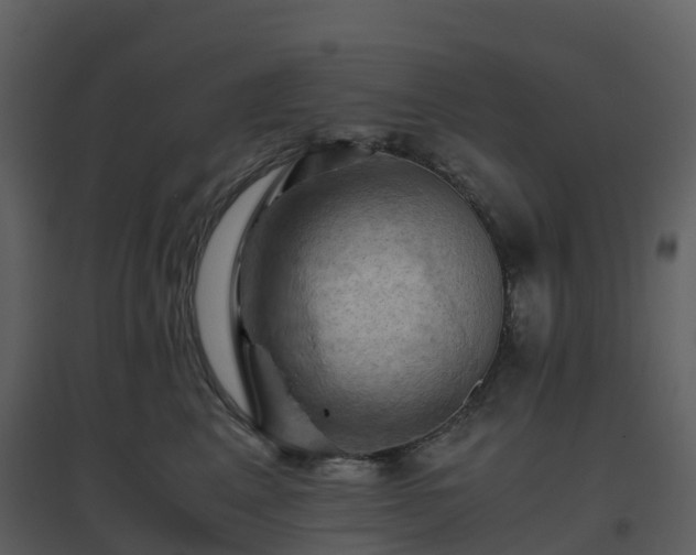 X0000096640617200802121111