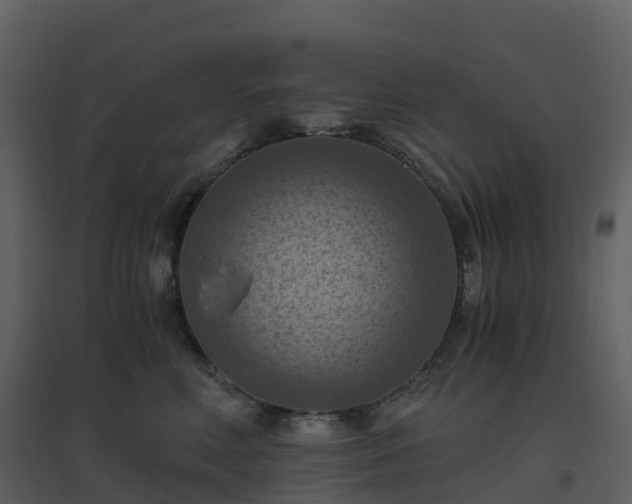 X0000096640618200802121111