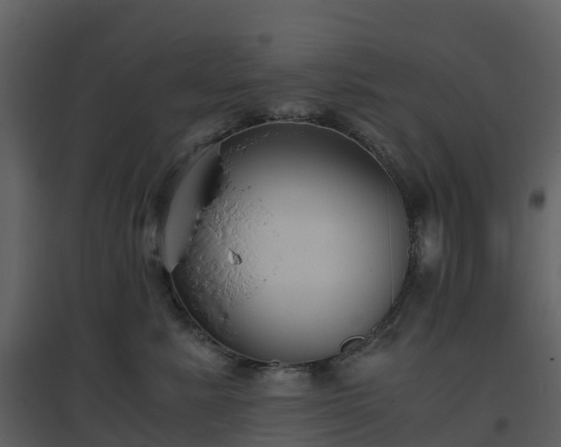 X0000096640619200802121111