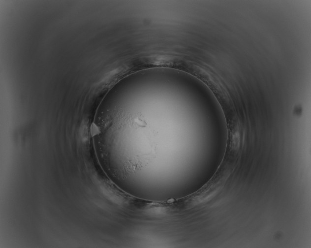 X0000096640620200802121111