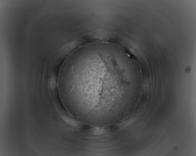 X0000096640623200802121111