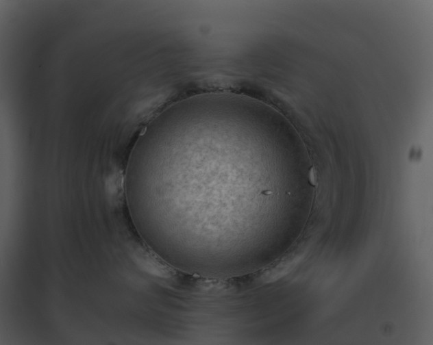 X0000096640624200802121111