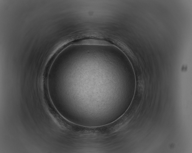 X0000096640626200802121111