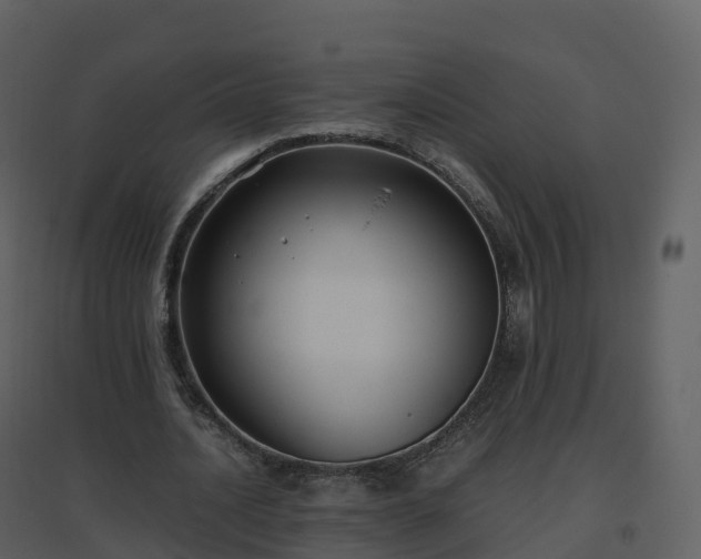 X0000096640628200802121111
