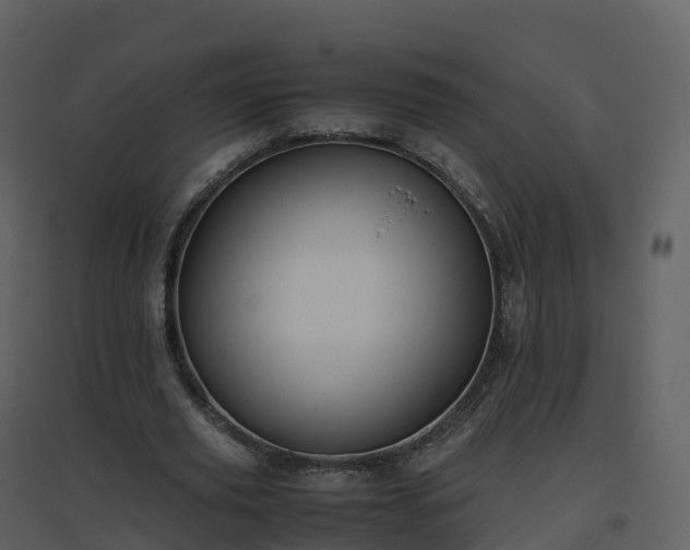 X0000096640629200802121111