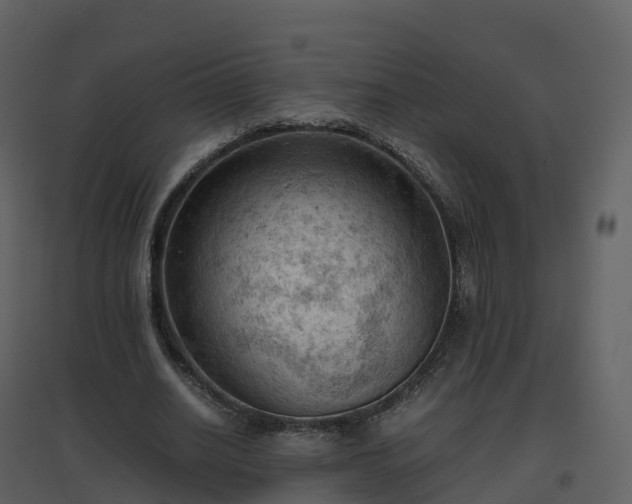 X0000096640630200802121111