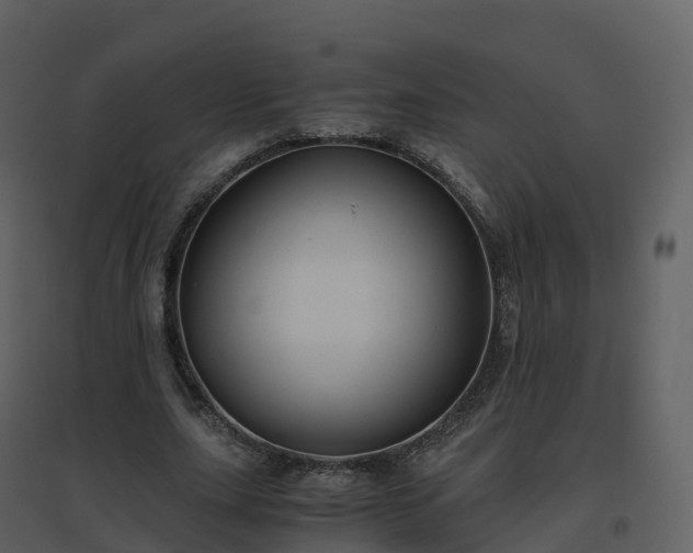X0000096640631200802121111