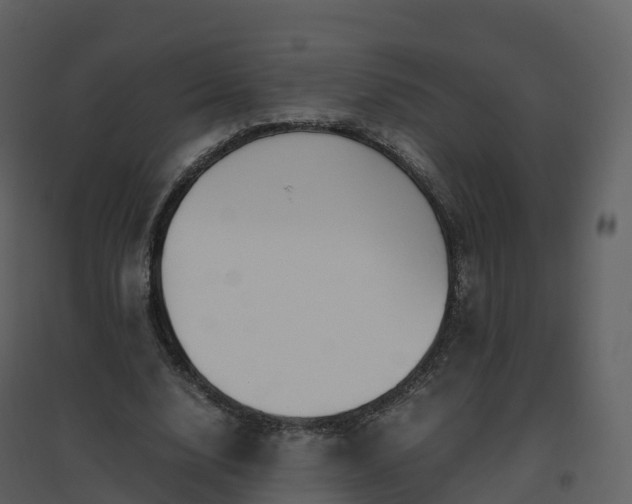 X0000096640632200802121111