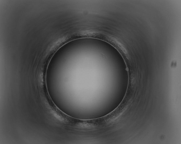 X0000096640633200802121111