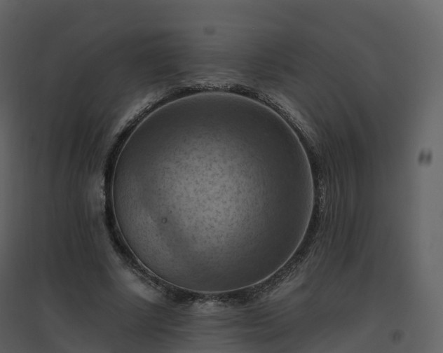 X0000096640634200802121111
