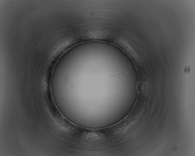 X0000096640635200802121111