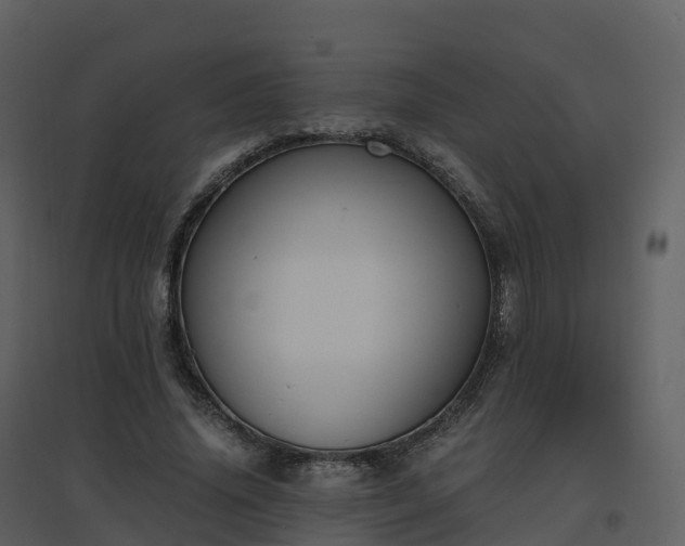 X0000096640636200802121111