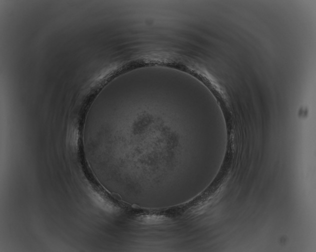 X0000096640637200802121111