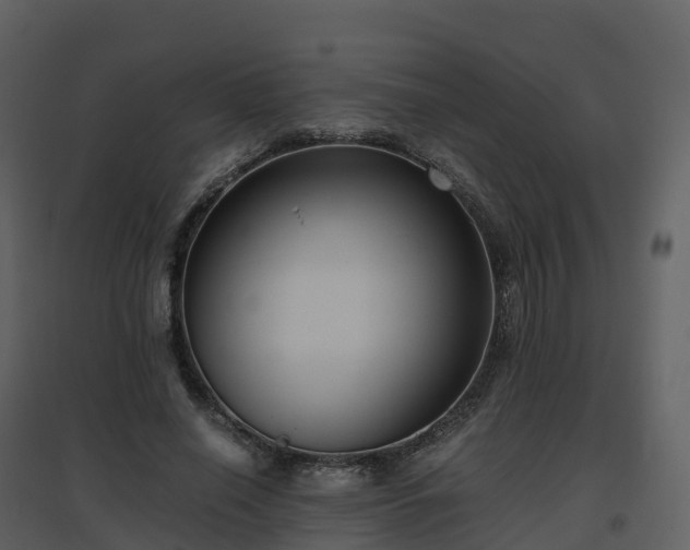 X0000096640638200802121111