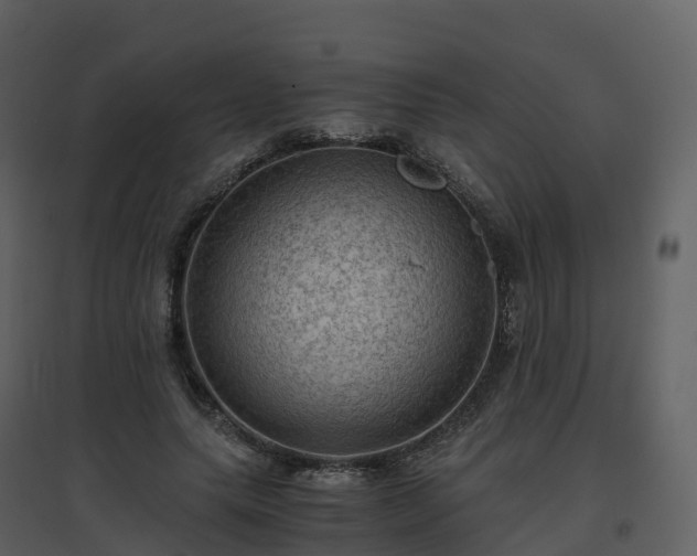 X0000096640639200802121111