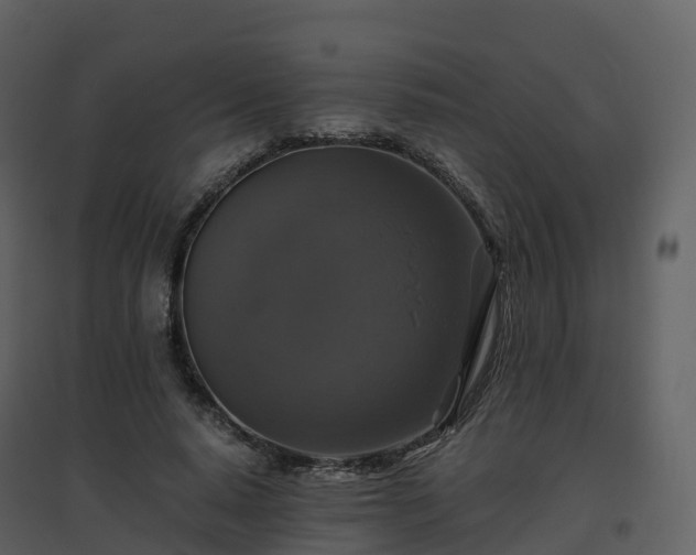 X0000096640640200802121111