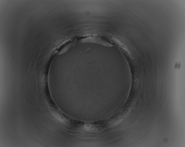 X0000096640641200802121111