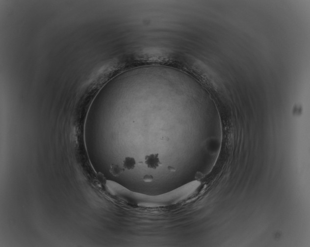 X0000096640643200802121111
