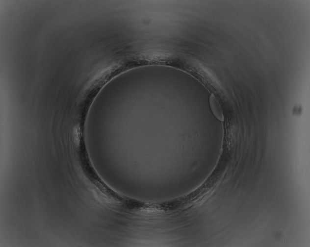 X0000096640644200802121111