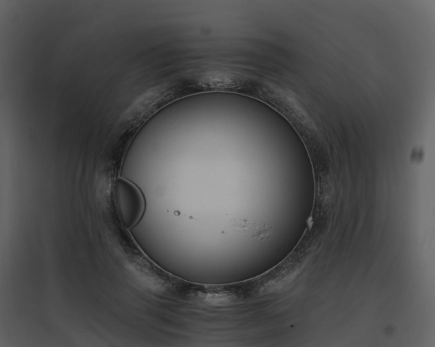 X0000096640645200802121111