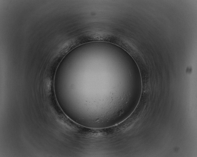 X0000096640646200802121111