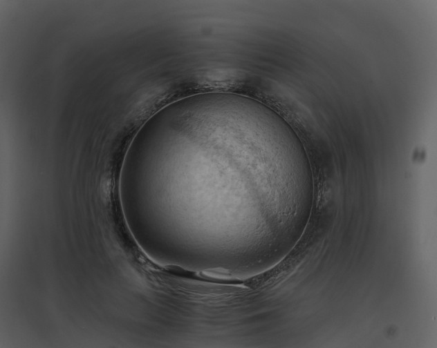 X0000096640647200802121111