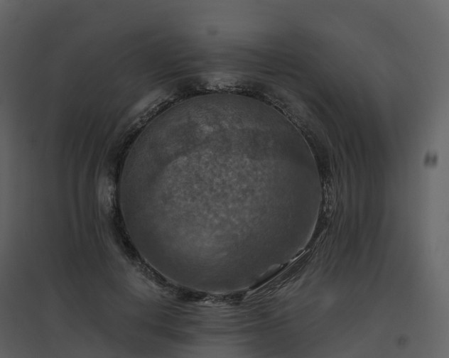 X0000096640648200802121111