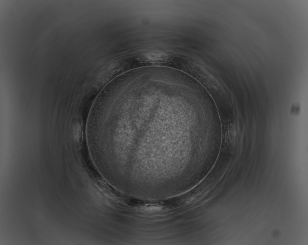 X0000096640651200802121111