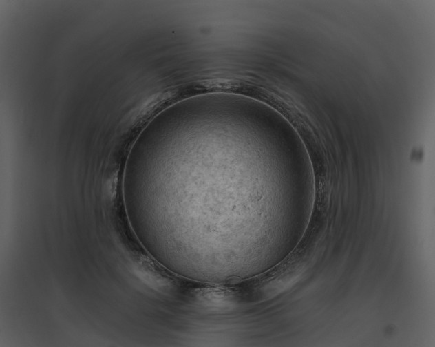 X0000096640652200802121111