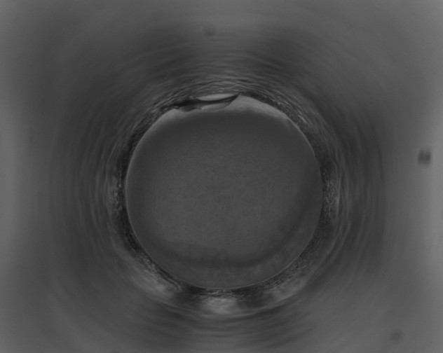 X0000096640653200802121111