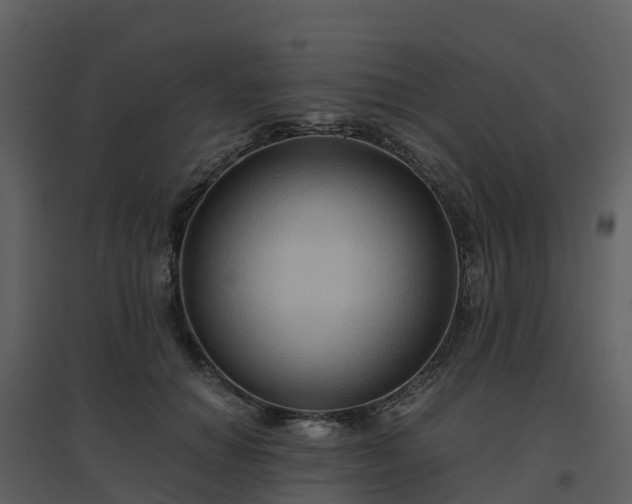 X0000096640654200802121111