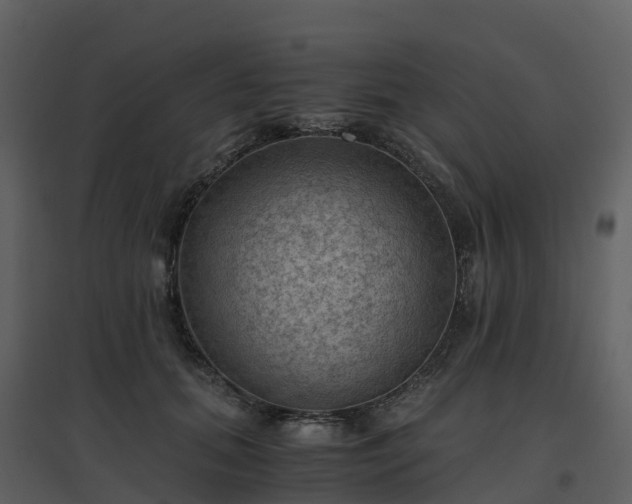 X0000096640655200802121111