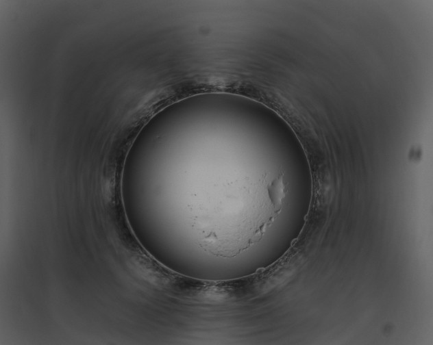 X0000096640656200802121111