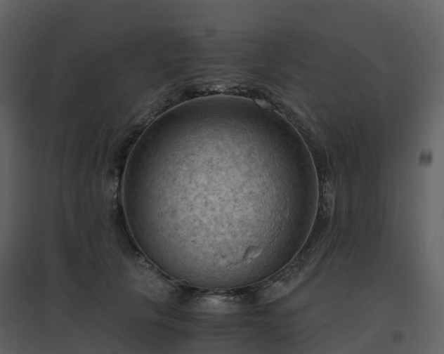 X0000096640657200802121111
