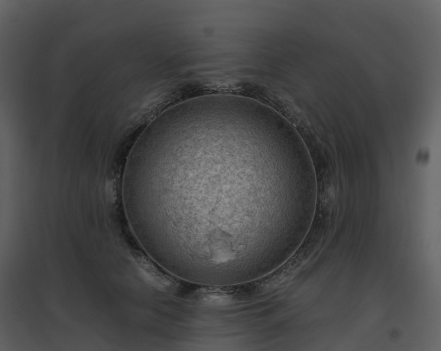 X0000096640658200802121111