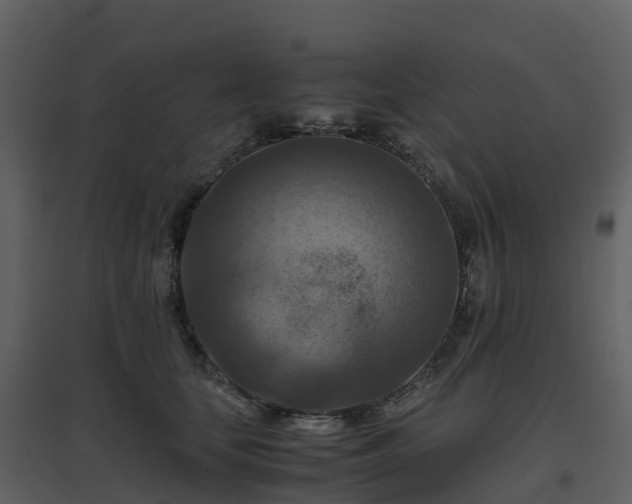 X0000096640659200802121111