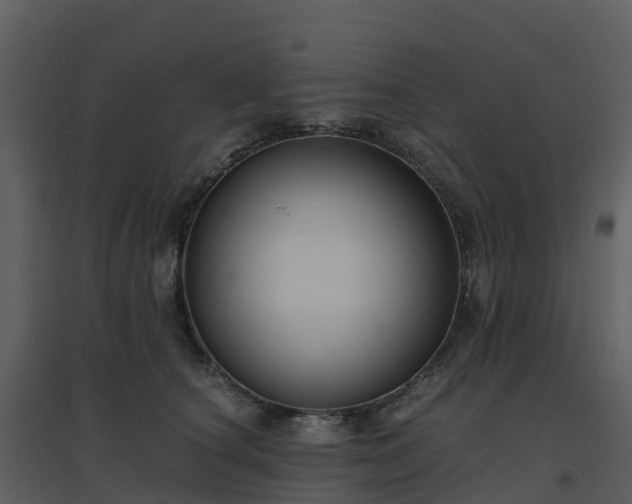 X0000096640660200802121111