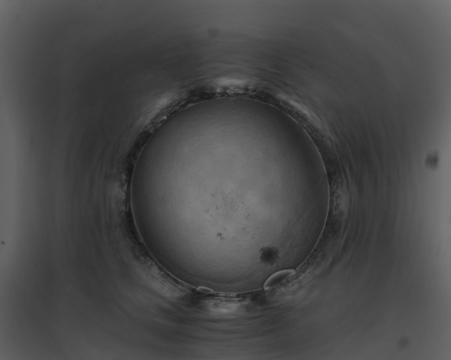 X0000096640661200802121111