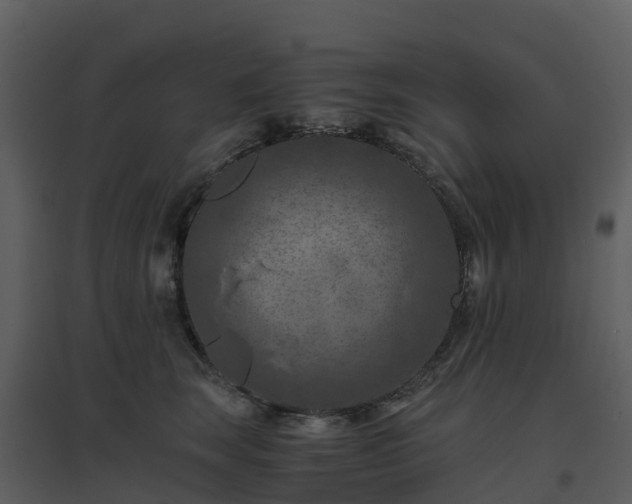 X0000096640663200802121111